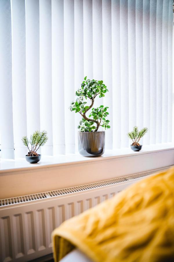 Aunt Mary'S Apartment Belfast Ngoại thất bức ảnh